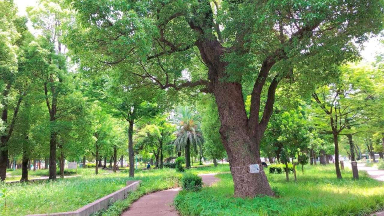 阪急十三站西口东横inn 大阪 外观 照片